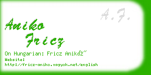 aniko fricz business card